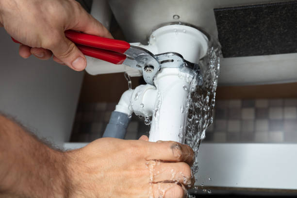 Best Water damage repair service  in Mulberry, FL