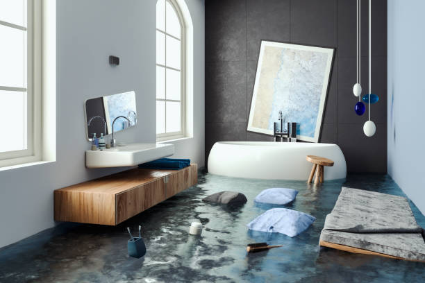 Best Water damage restoration company  in Mulberry, FL