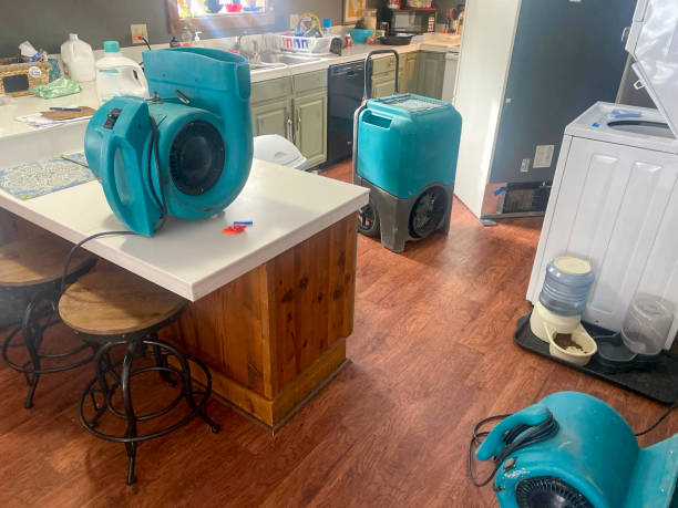 Best Ceiling water damage repair  in Mulberry, FL