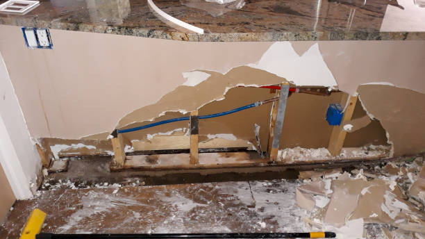 Best Water damage restoration near me  in Mulberry, FL