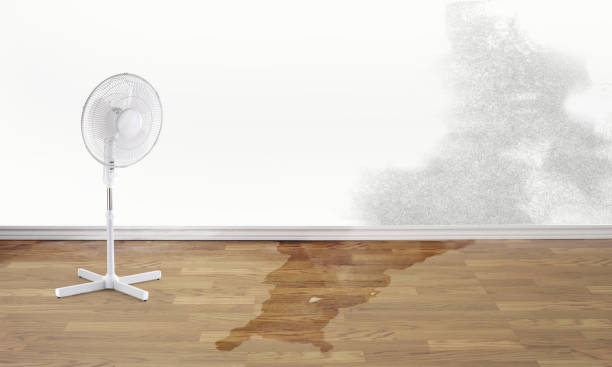 Fire Damage Restoration in Mulberry, FL