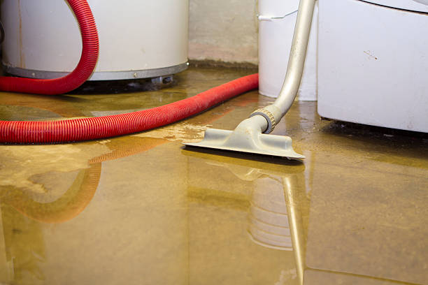 Best Commercial water damage restoration  in Mulberry, FL
