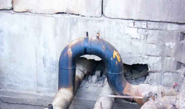 Best Emergency water extraction  in Mulberry, FL