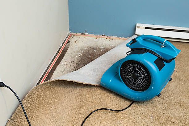 Best Emergency water damage restoration  in Mulberry, FL